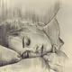 'Pencil sketches'