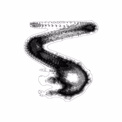 Item #87495691051819618160782043165871758120745529937108859909899536995811036495873 Media