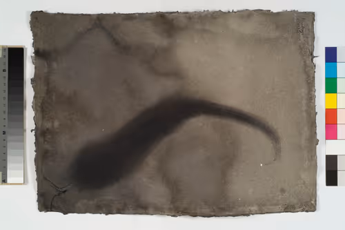 Item #86511384833159982668380072396600292180880183197987158451584193509295617212417 Media