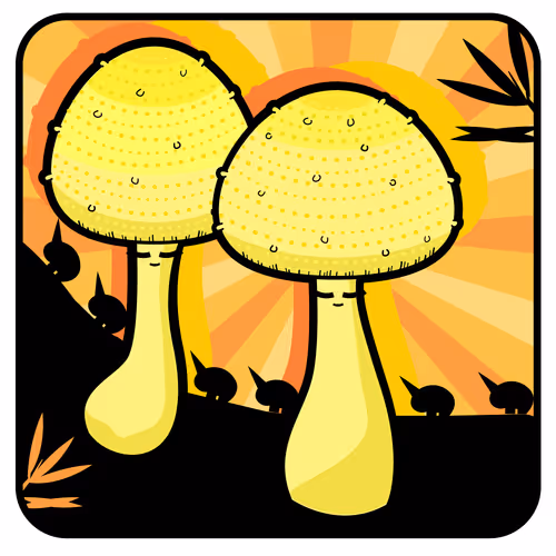 Item #66492061377330858312394959550715582150063143788271338571324127807770304970753 Media