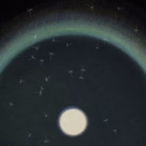 64582080536744971998716657472697058248208589501275408193173311897174873735169