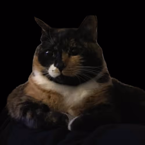 Untitled Collection #277079496