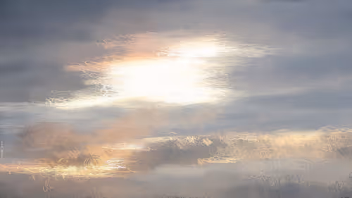 Item #102759459315461170583474475029171337921512060972705760351725688441024404258817 Media