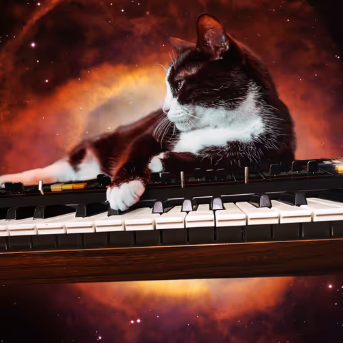 Item #57667657019405383331042526529136336247251812854426492646201797634374466797569 Media