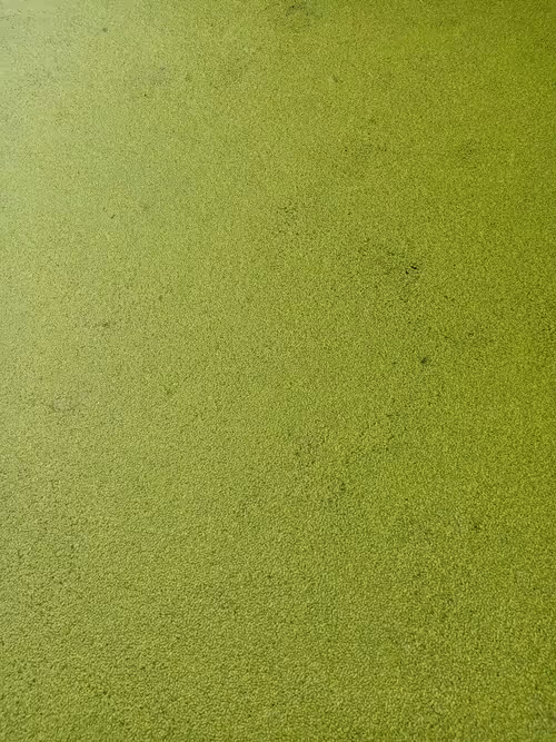 Item #91419314110800337009204889244420491545842303505927805999053350499915697063584 Media