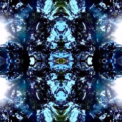 81335810380546067592074661371981709571494442828138360360358581745247334694913