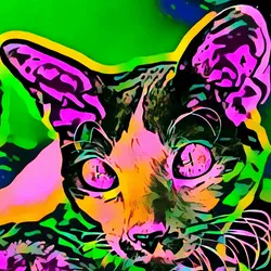 50830097462543580601473563981388698009005024090223633461481089775557763137537