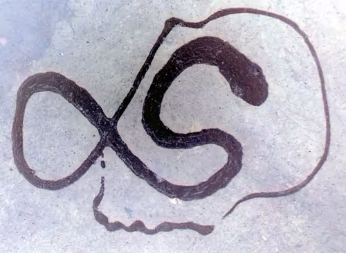 Item #72779083104083035204159854991157671306875391720900589141781584566668387942401 Media