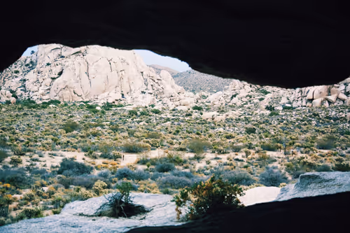 Item #1477567608042929161133967300904577015789959353209458872969039472301602504705 Media