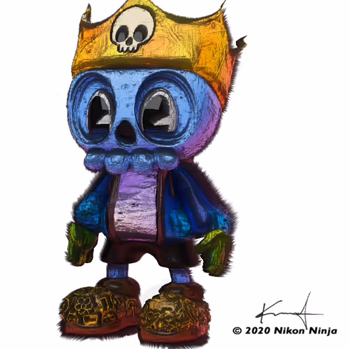 Nikonninja Collection