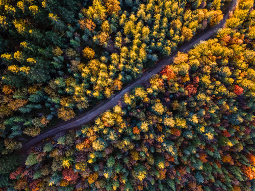 Item #95229034153510470396511515867568444678676379780033711068818665180100483350529 Media