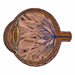 28824502245252267217549902857601847351510039266873569823091148382230737321985