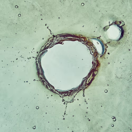 Item #46489901761508154690977052556102681350934379687164571149816291708498165628929 Media