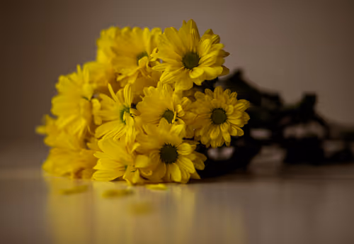 Item #65944253536368355183911176493195225270451461120377666666009501309147296038913 Media