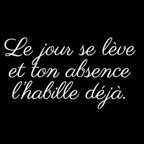 Item #74371741931470645784912528948589980971587939009711764784213724904841604497409 Media