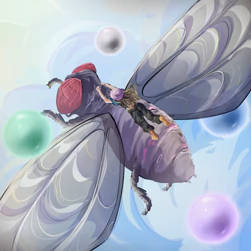Origins Of Flyt