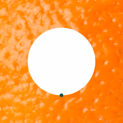 The Orange: 7