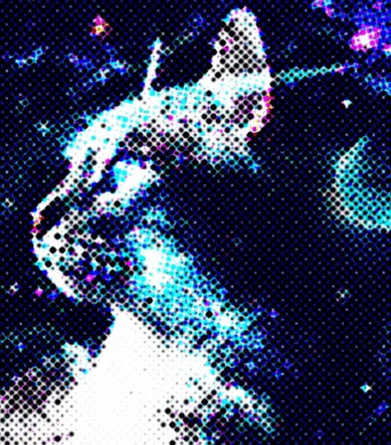 56114814756646127397705002134489221206320113324181291230627375196411413921793