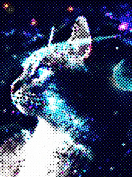 Item #56114814756646127397705002134489221206320113324181291230627375196411413921793 Media