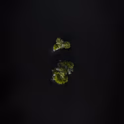 100600280271040798317723628260513137156606623100883316454227272233219872784385