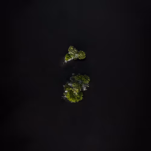 100600280271040798317723628260513137156606623100883316454227272233219872784385