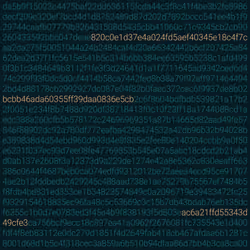 CryptoDec#7