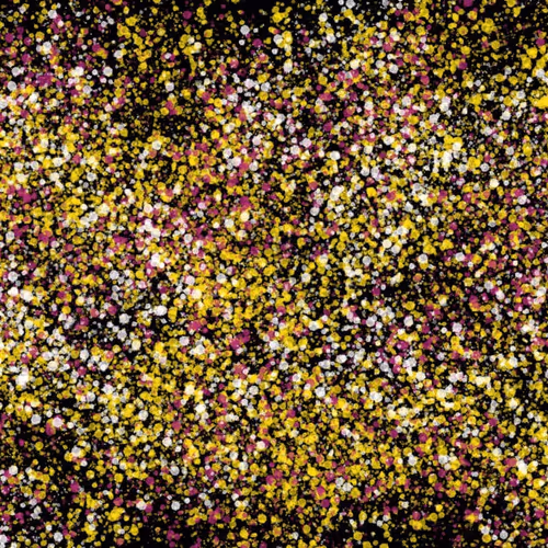 944858660688572096584618472555991747686703840338442188877309503803477721089