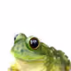 76636509323936245672355629002901823765244948274556245716519713027971426025473