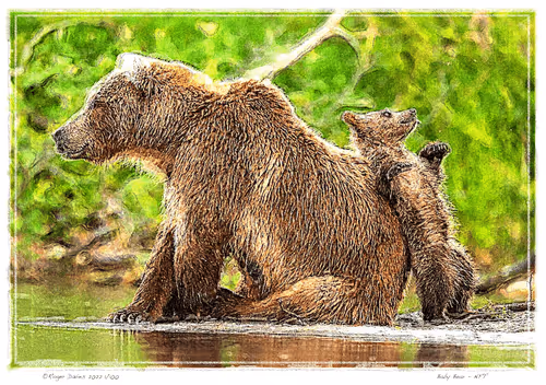 Item #11017776651197561377596972513232318538951070019919471549436519144627103596545 Media