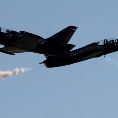 stevesteez Collection