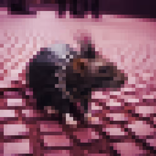 Item #54454380677249840748926722717072301200377530719065436340930837033134082490378 Media