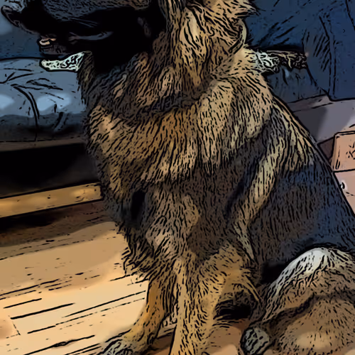 Untitled Collection #90488114