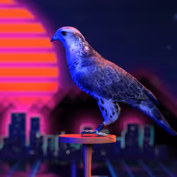 5362693153686757663037229957776630052012240176014263673100968365193363980289