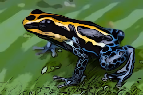 Item #29264666619168010317647881047170433350762654908464135976635272404296261435393 Media