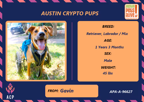 Item #17951378556605612276483806045649535824451571419947225201384628479865663782913 Media