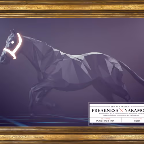 Preakness X Zed Run Nft Collection