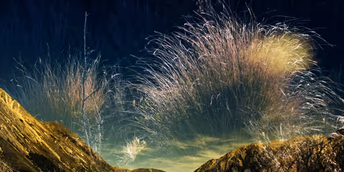 Item #59100591460969090848093152469102707440885830414673782650703488490686084284417 Media