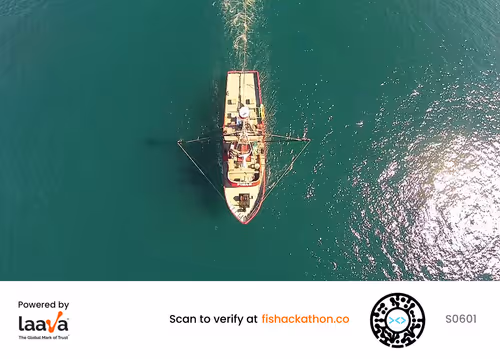 Item #75409383365909662742797353960547032942445262958910293626622653905418372251649 Media