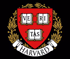 Item #14465564503160861264900759694575963355038956116034651182322153153856345735169 Media