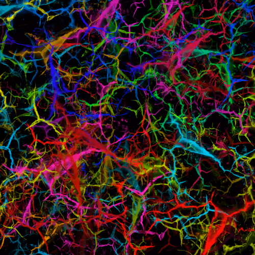 Item #50918555062582210159273167721725581522404743190091886750106034865201423056897 Media