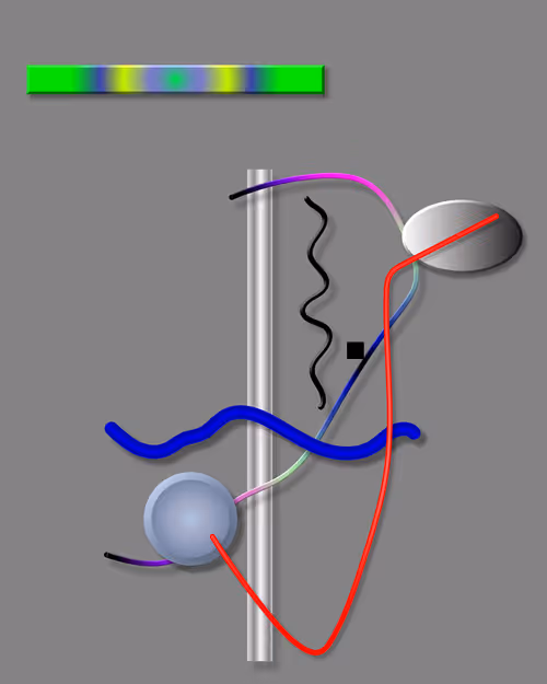 Item #48077036088945243318270363698185930561210779030743272029392197323560321024001 Media