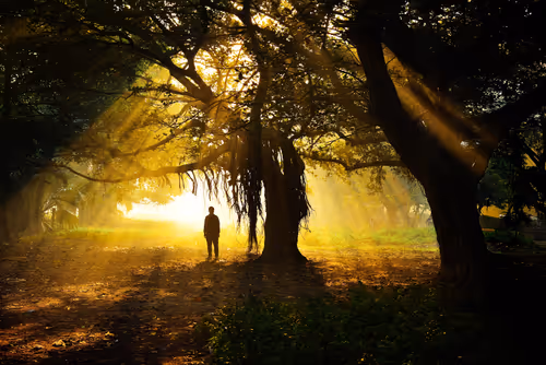 Item #77880343441441824581090406099038781538338001840329207874185158492860130000897 Media