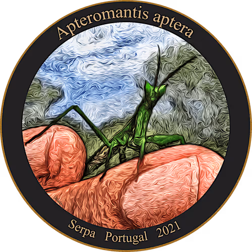 Item #83346383481971607988729477170446348570292642791419063456680174172592110829569 Media