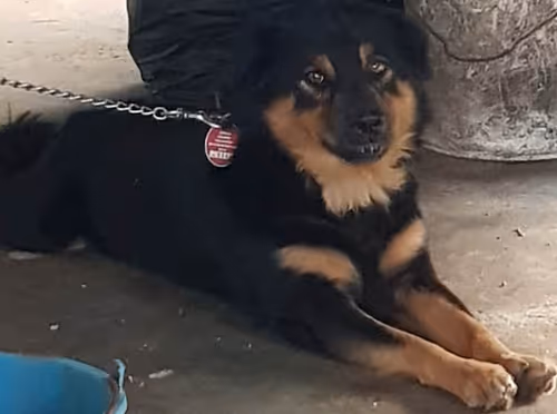 Item #56055091060271351536523847984853154360378800009370414984463609041577983344641 Media