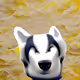 81149056764114656389778949305751144099262659401236869115308089907761400250369