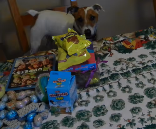 Item #5985210497355107417265215381210579199842884272282595265964883358333888626689 Media