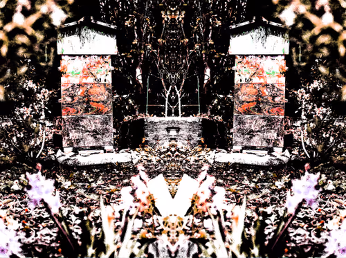 Item #47654747973502141214550921339290912041584942039405288851344459675747267641345 Media