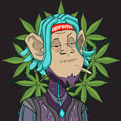 MONKEYHYPE #2274