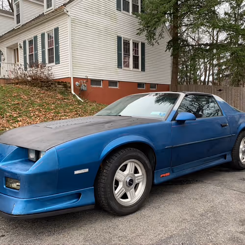 Untitled Collection #37478506