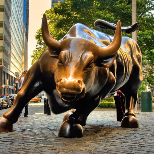 Untitled Collection #663005376